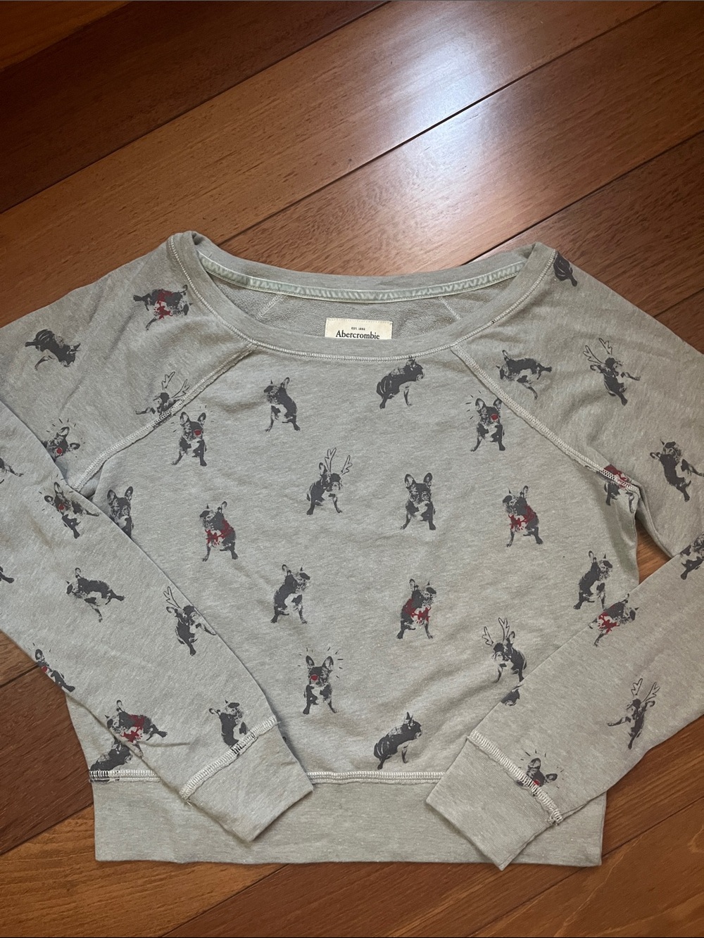 NWOT Y2K Abercrombie Frenchie Dog Top